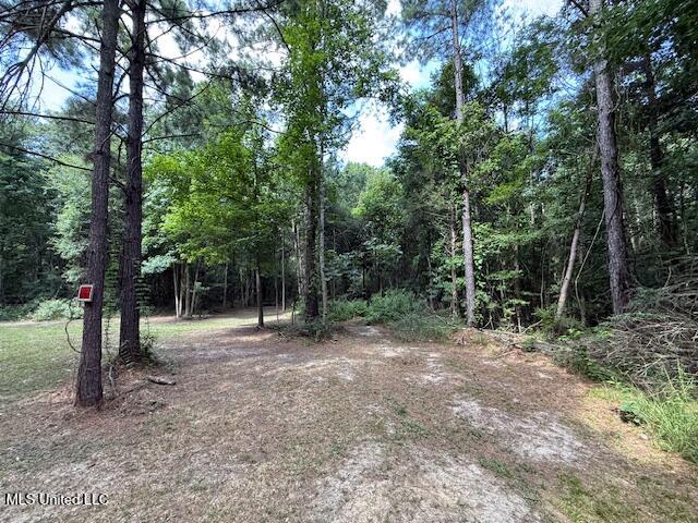 401 Montgomery Road Southwest Summit, MS 39666 - Photo 21 of 24 IMG_5903