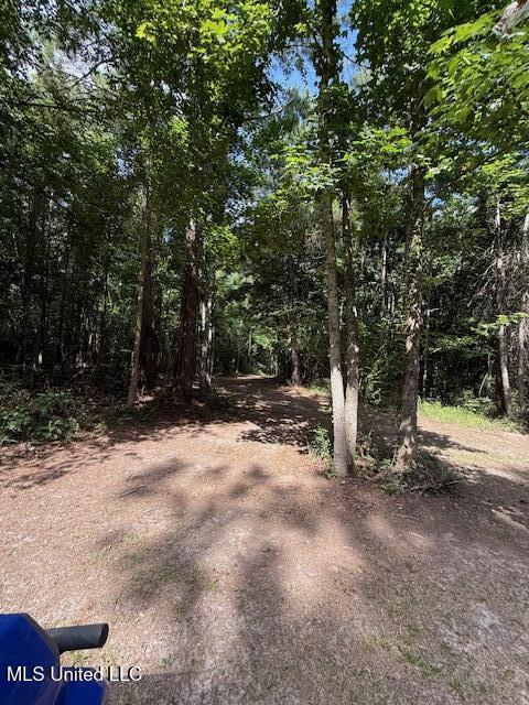 401 Montgomery Road Southwest Summit, MS 39666 - Photo 22 of 24 IMG_5905