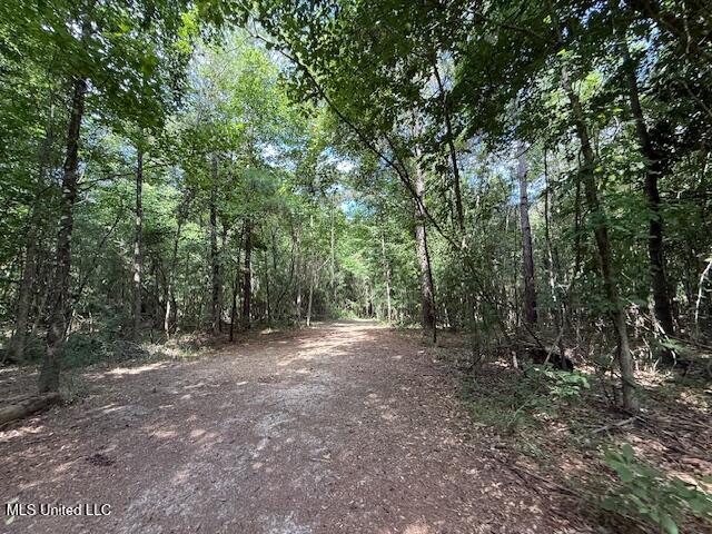 401 Montgomery Road Southwest Summit, MS 39666 - Photo 23 of 24 IMG_5906