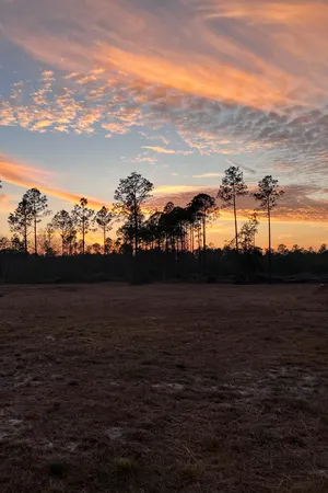 $3,250,000 | 40-acres 40-acres Waverly Orchard Circle, Freeport, FL 32439