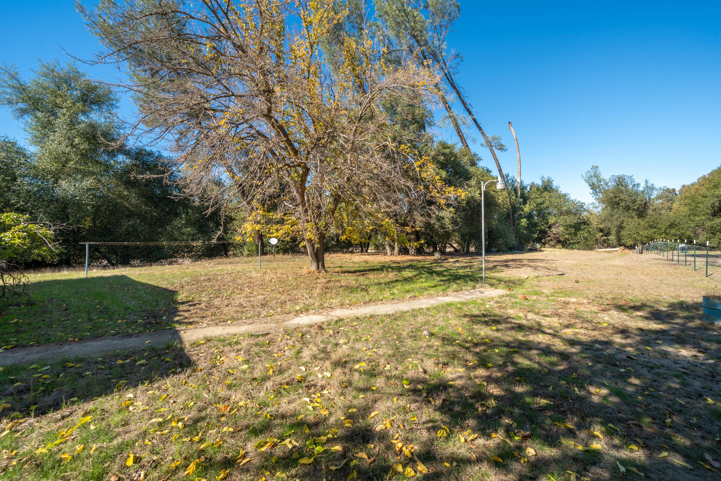 18355 Benson Road Cottonwood, CA 96022 - Photo 14 of 18 a view of yard with trees