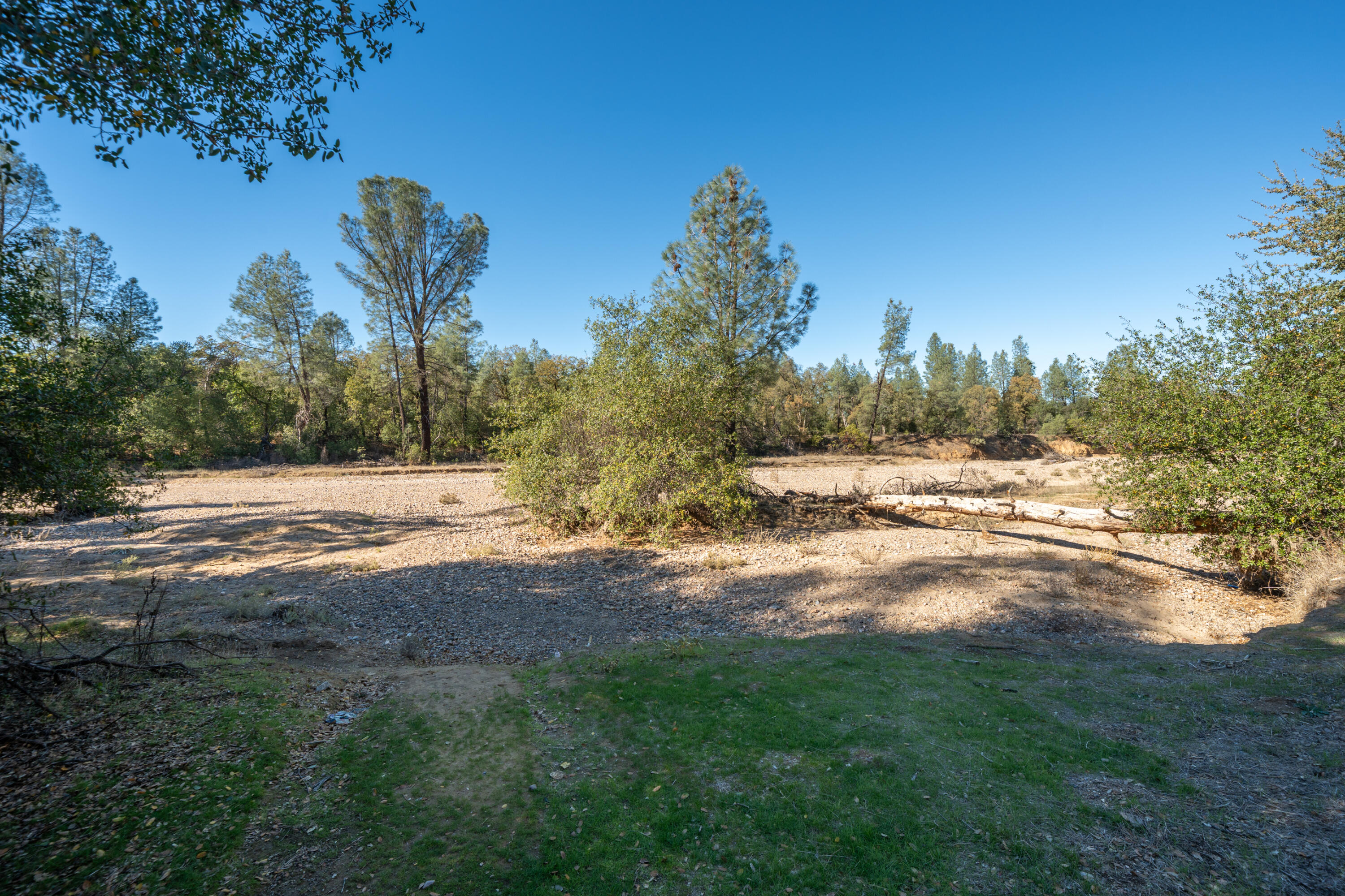 18355 Benson Road Cottonwood, CA 96022 - Photo 15 of 18 a view of yard with green space