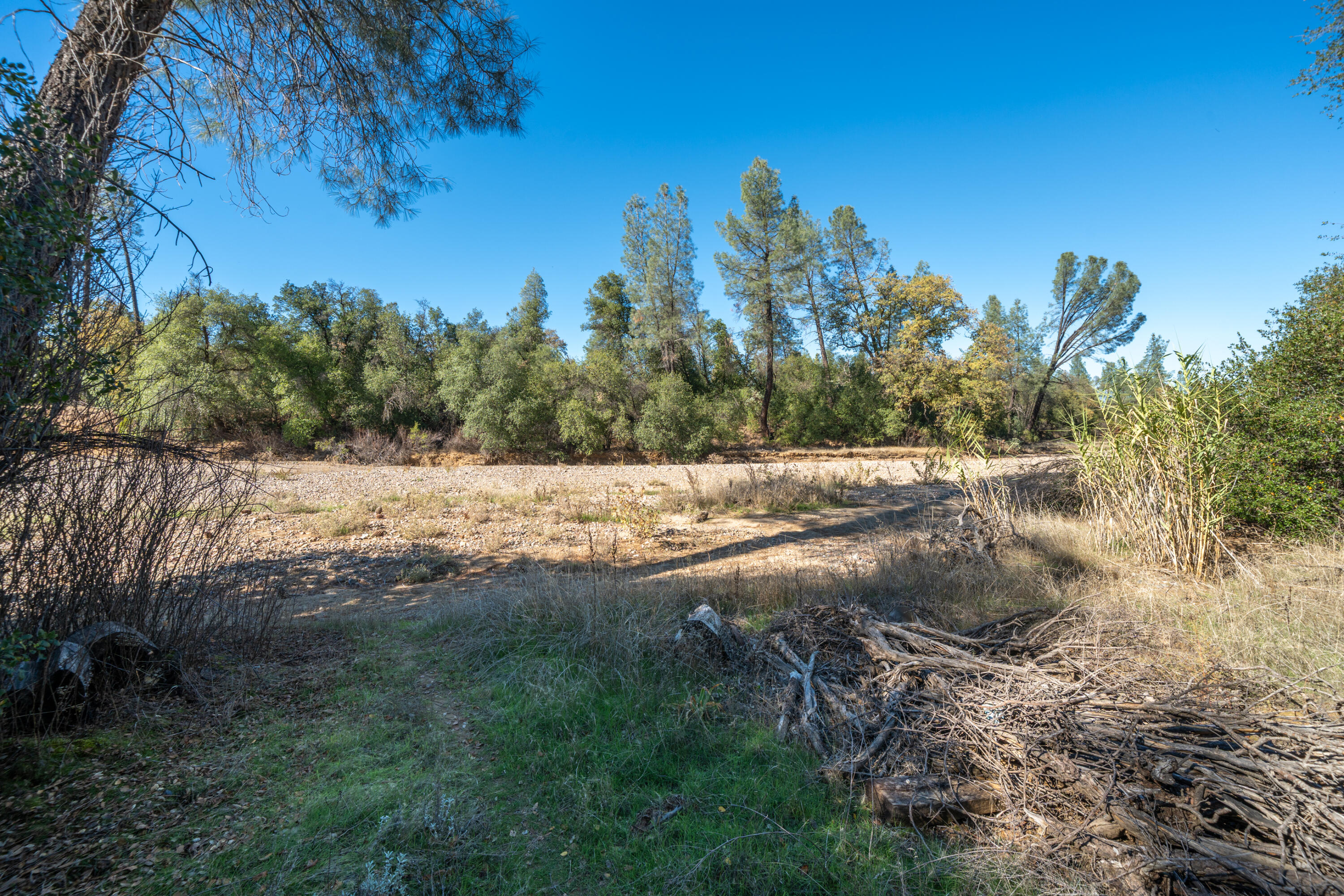 18355 Benson Road Cottonwood, CA 96022 - Photo 16 of 18 a view of a yard with trees