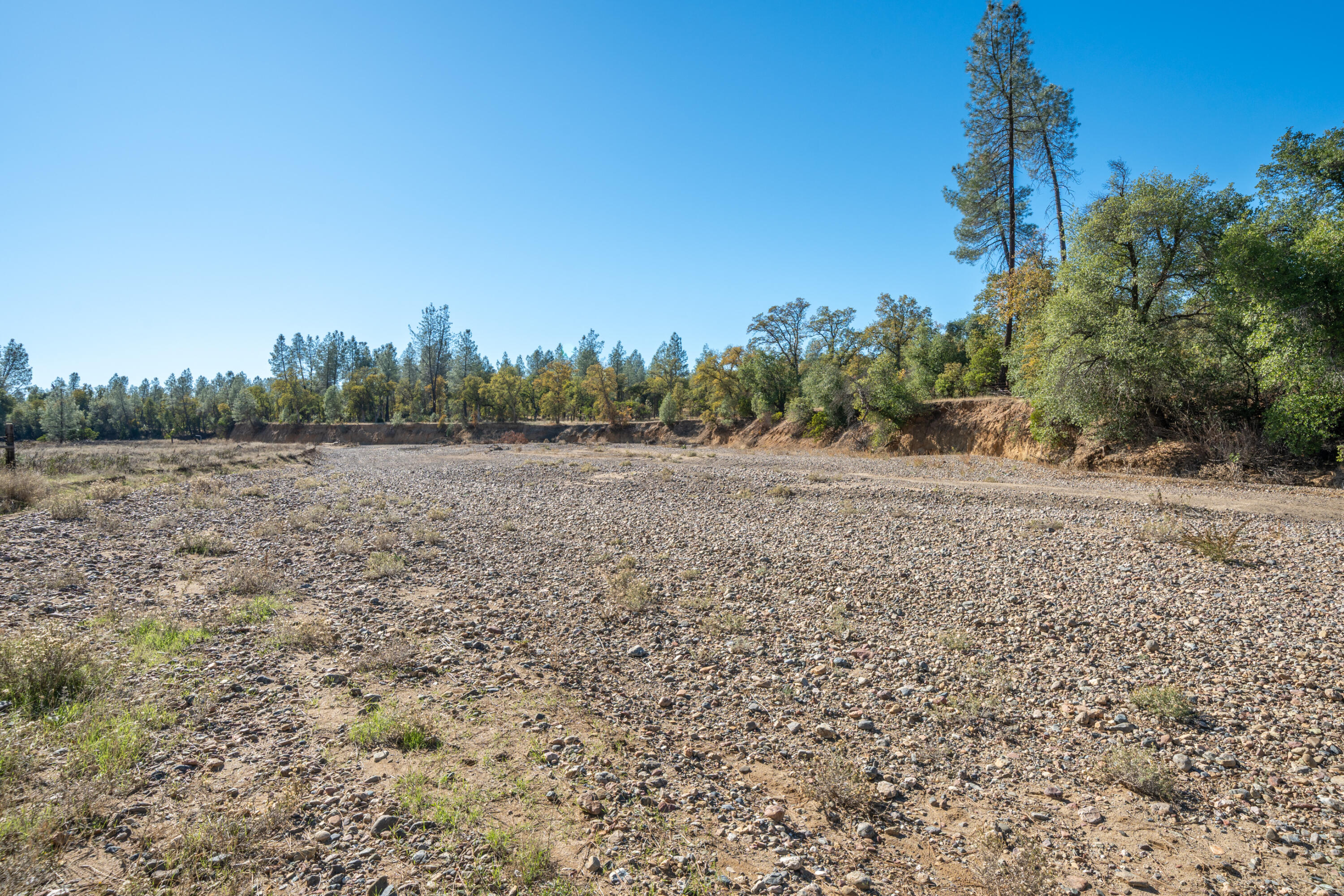 18355 Benson Road Cottonwood, CA 96022 - Photo 17 of 18 a view of a field with trees in the background