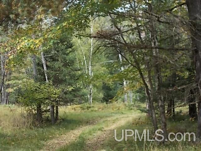 4125-4151 Thompson Road Florence, WI 54121 - Photo 12 of 14 Gallery Image 12