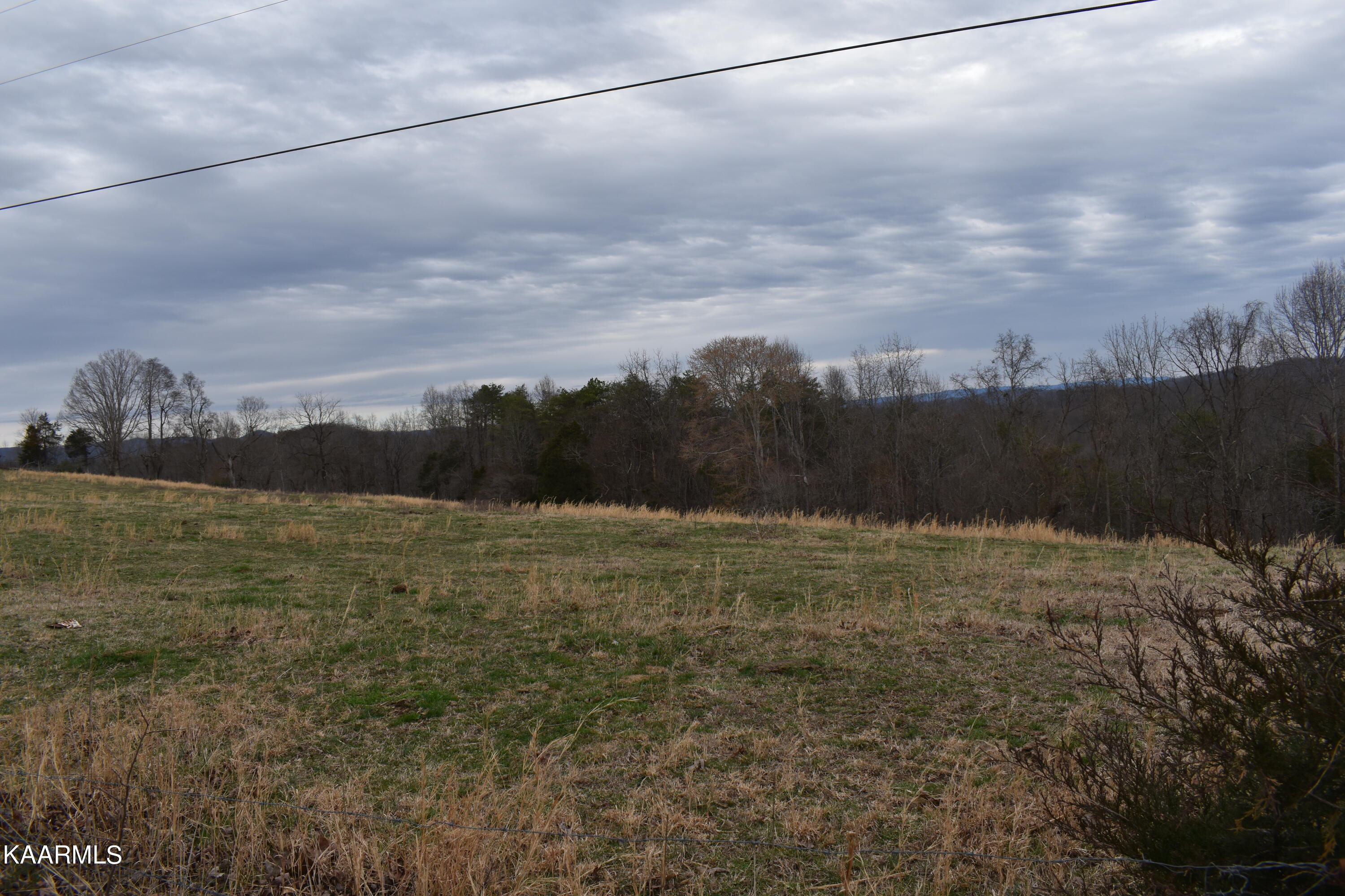 Lot 1 Jones Ridge Road Speedwell, TN 37870 - Photo 1 of 2 DSC_0009