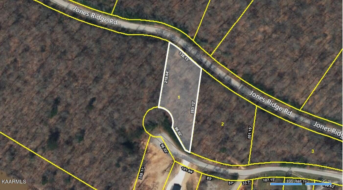 Lot 1 Jones Ridge Road Speedwell, TN 37870 - Photo 2 of 2 Screenshot 2023-03-14 152648