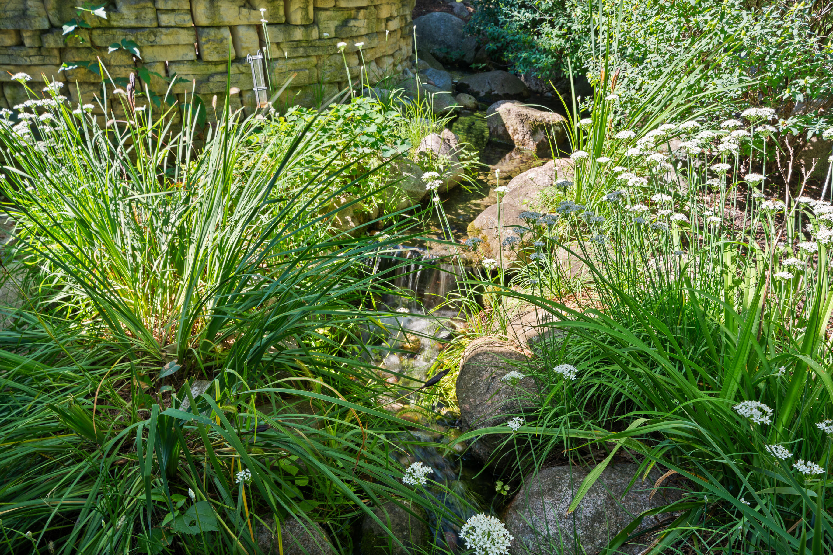 765 Brickley Court Fontana, WI 53125 - Photo 114 of 130 765 Brickley - Selects-42