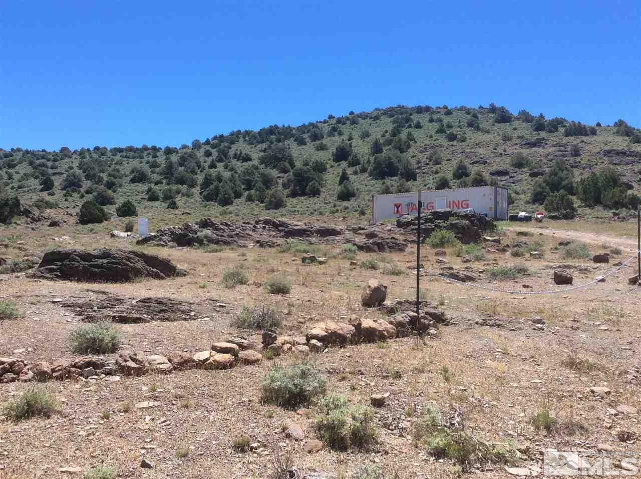 20700 Ridge Road Reno, NV 89521 - Photo 5 of 16 a view of a dry yard with trees