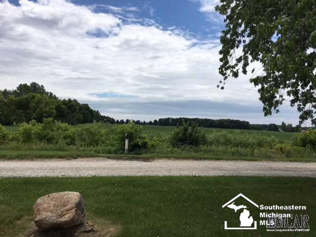 11052 Oelke Road Maybee, MI 48159 - Photo 20 of 28