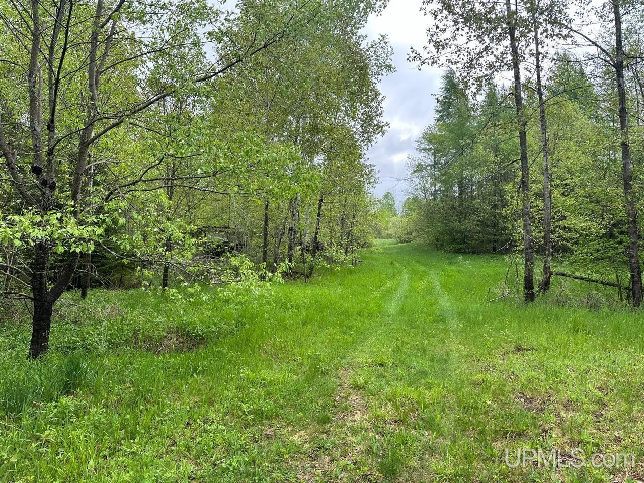 1390 North Co Road Skandia, MI 49885 - Photo 14 of 22