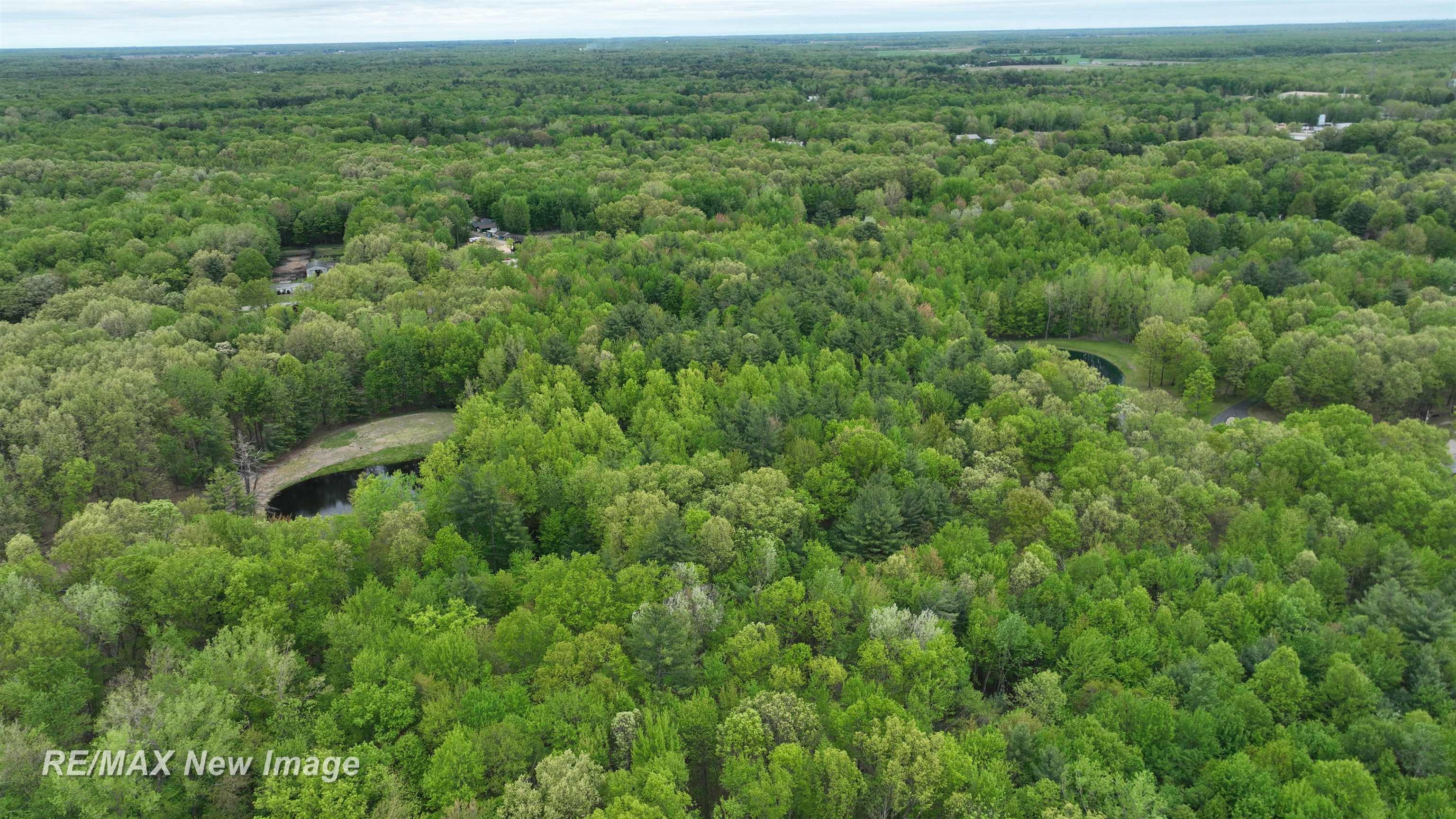 12000 West Townline Road St. Charles, MI 48655 - Photo 9 of 10