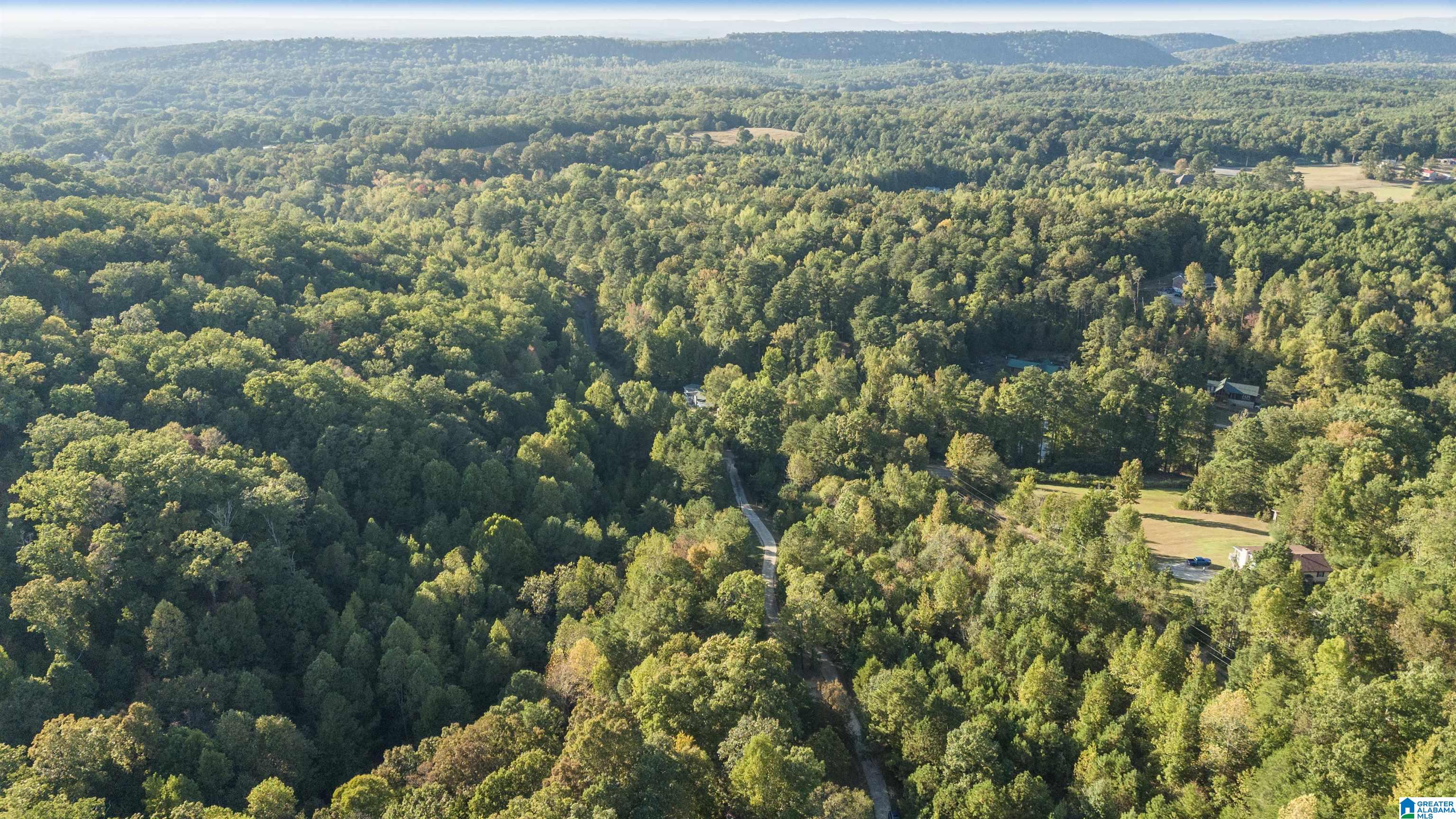5769 Miles Spring Road Pinson, AL 35126 - Photo 47 of 47