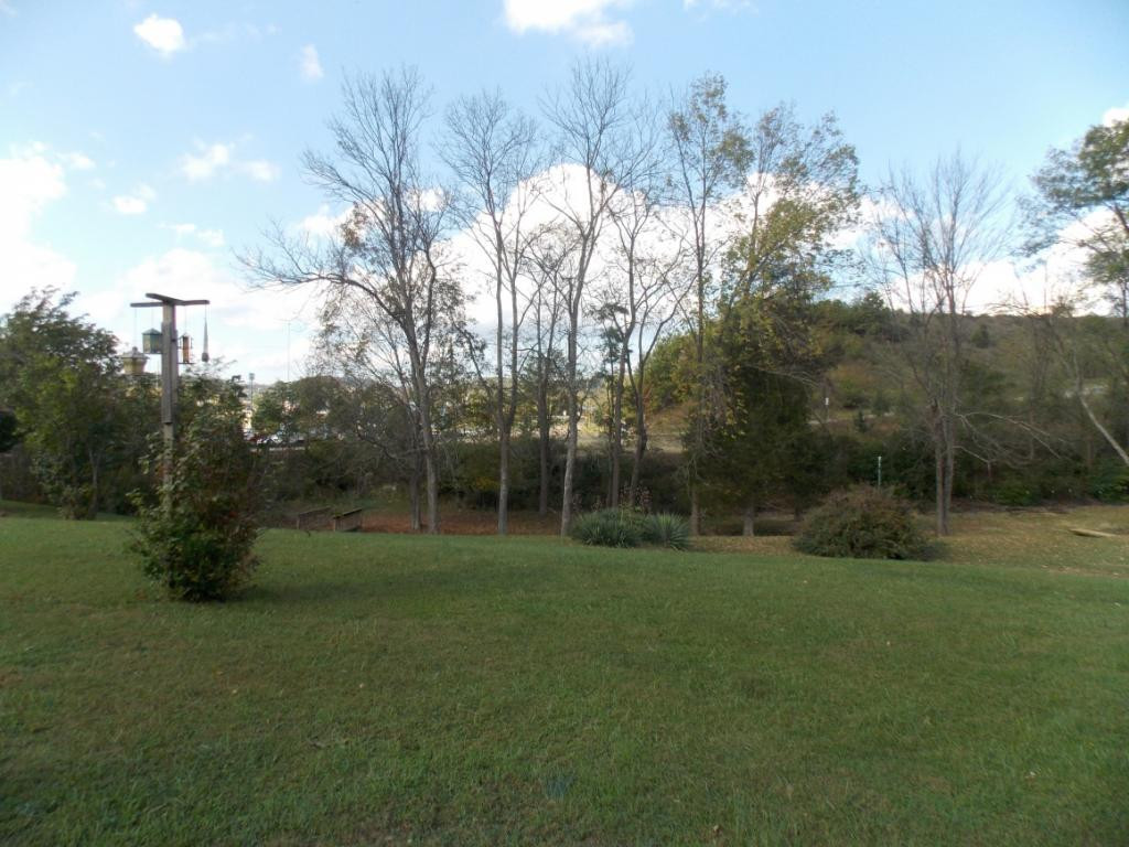 20 Spring Valley Road Bristol, VA 24201 - Photo 21 of 22 nice size lot