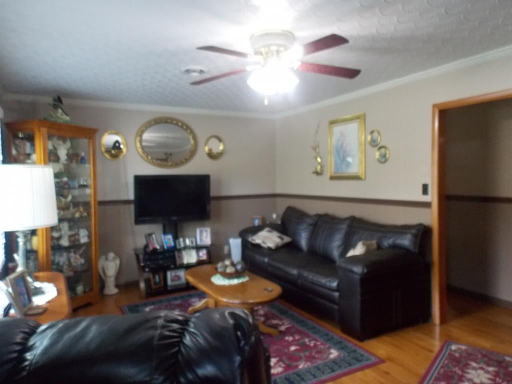 20 Spring Valley Road Bristol, VA 24201 - Photo 4 of 22 formal living room