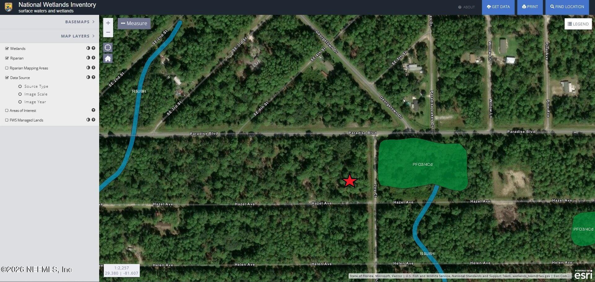 140 Hazel Avenue Georgetown, FL 32139 - Photo 14 of 30 140 Hazel Ave (No Wetlands)