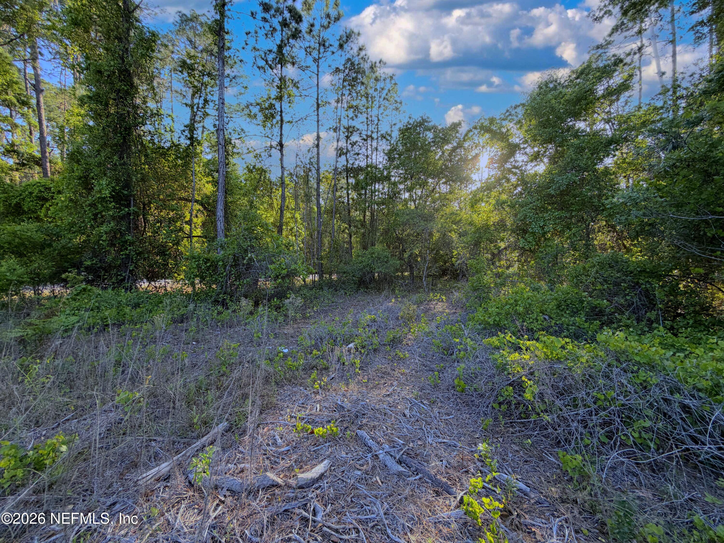 140 Hazel Avenue Georgetown, FL 32139 - Photo 29 of 30 2