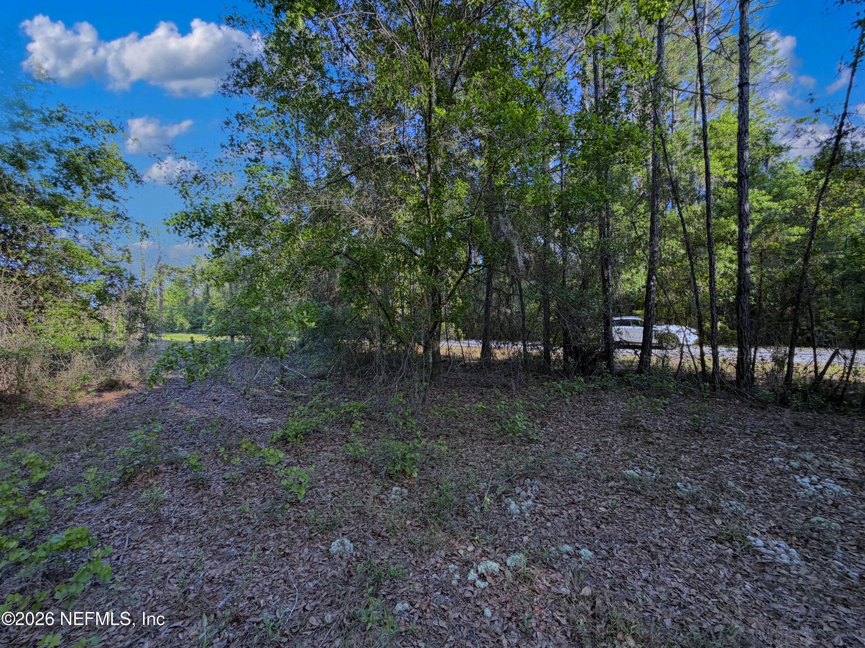 140 Hazel Avenue Georgetown, FL 32139 - Photo 30 of 30 3