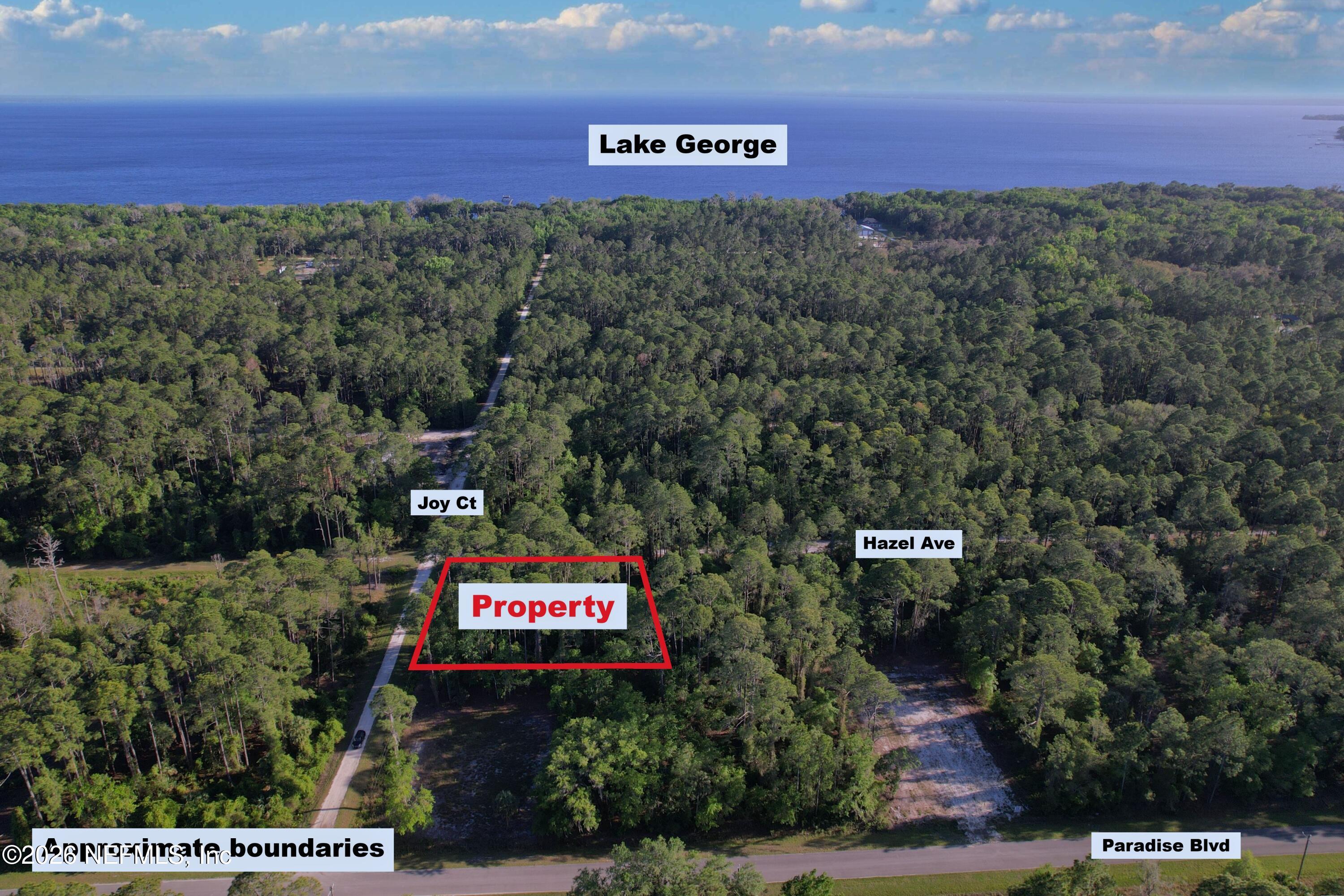 140 Hazel Avenue Georgetown, FL 32139 - Photo 3 of 30 3