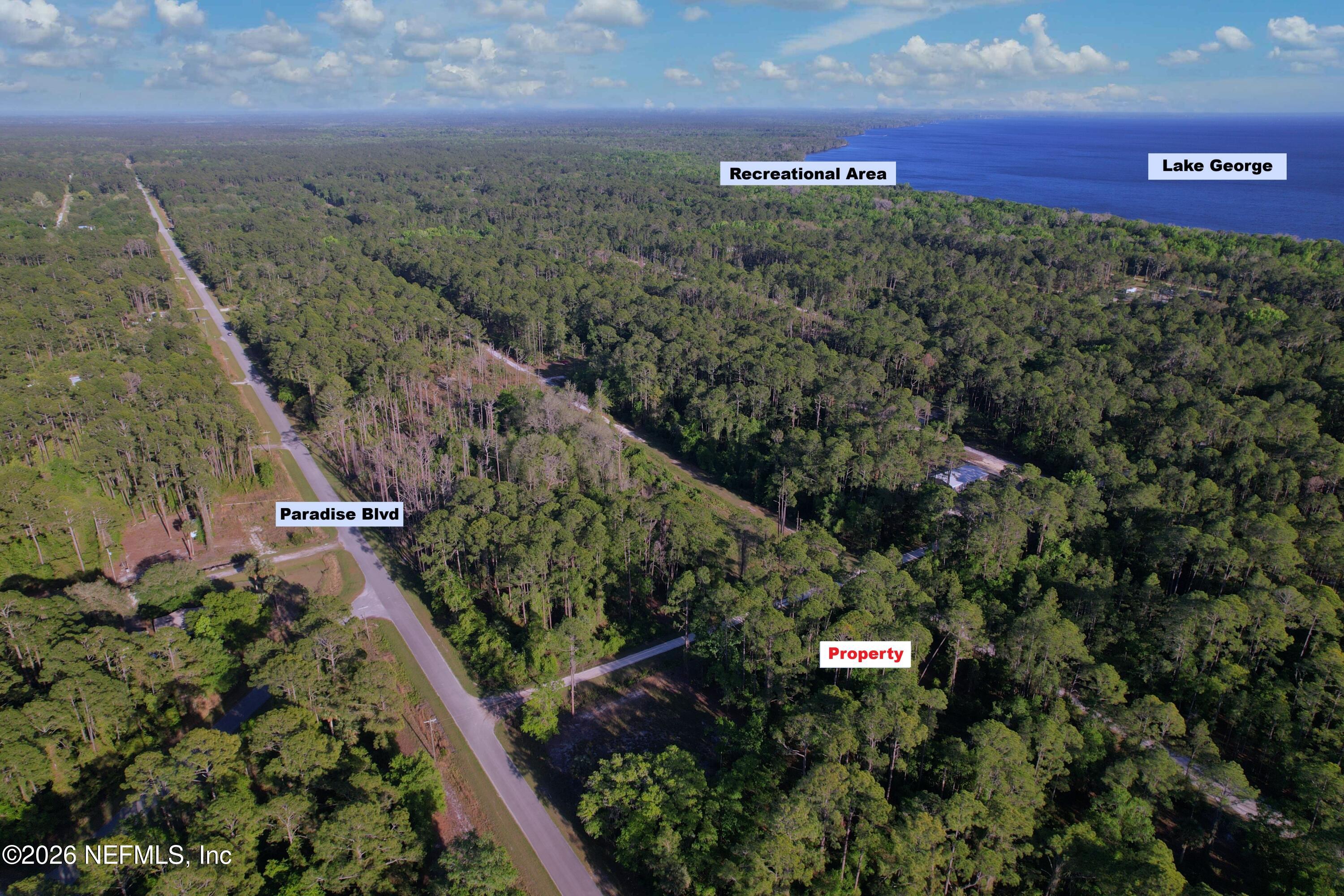 140 Hazel Avenue Georgetown, FL 32139 - Photo 5 of 30 5