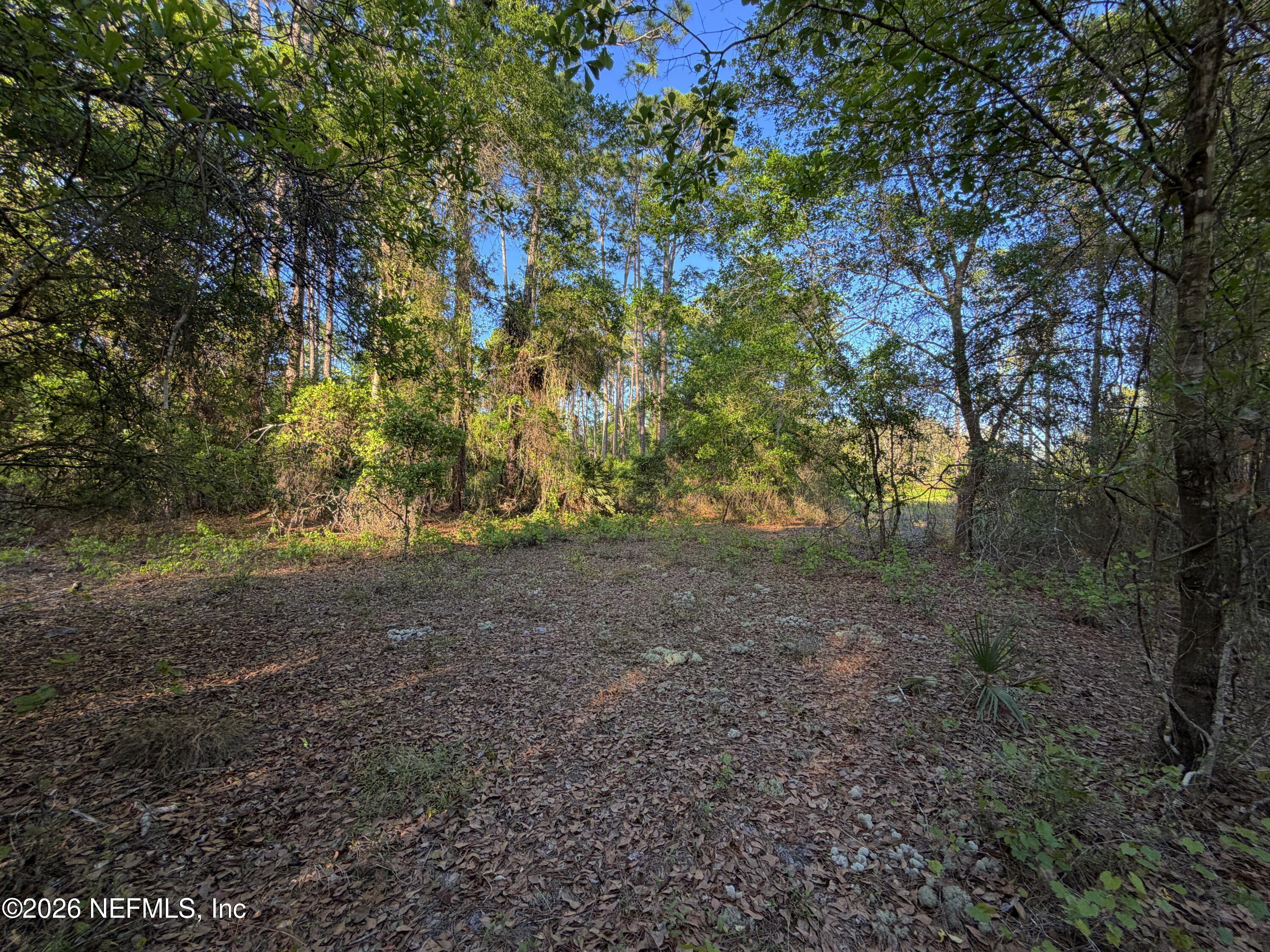 140 Hazel Avenue Georgetown, FL 32139 - Photo 7 of 30 1