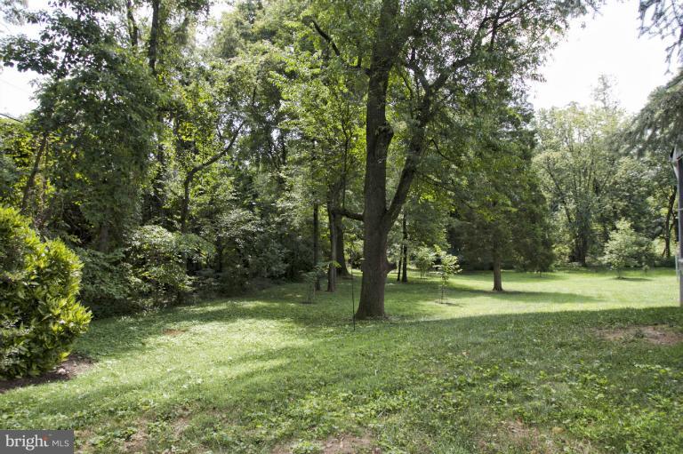 6801 Redberry Road Clarksville, MD 21029 - Photo 18 of 23 Backyard