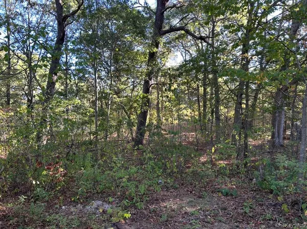 $350,000 | Meade Avenue, Bellport, NY 11713