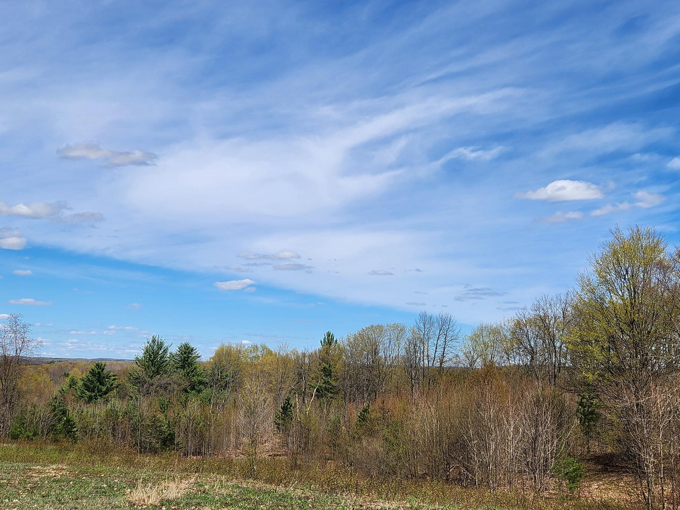 7777 Henschell Road Southwest South Boardman, MI 49680 - Photo 5 of 31