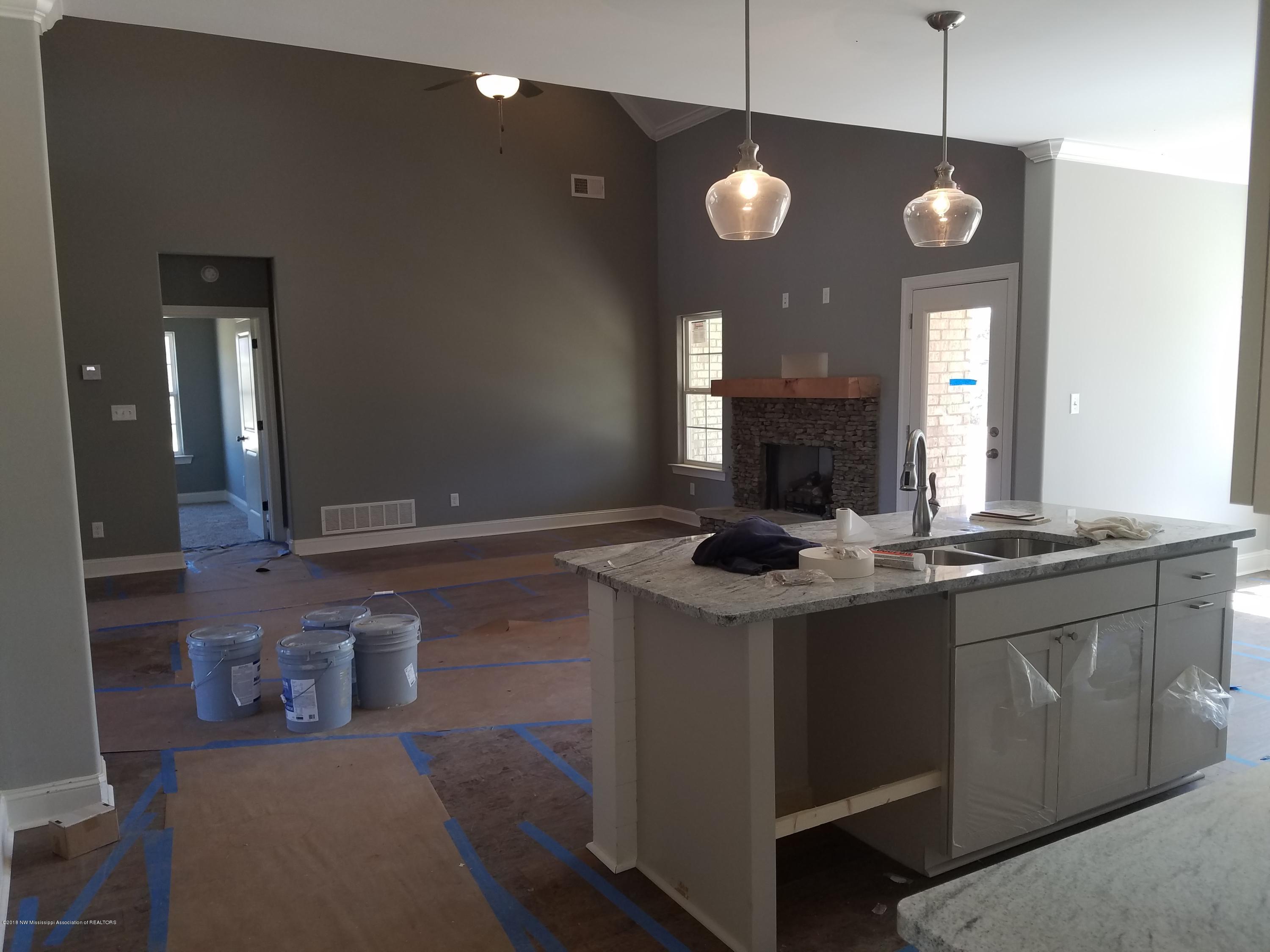 3039 Nesbit Road Nesbit, MS 38651 - Photo 5 of 10 3nesbitd