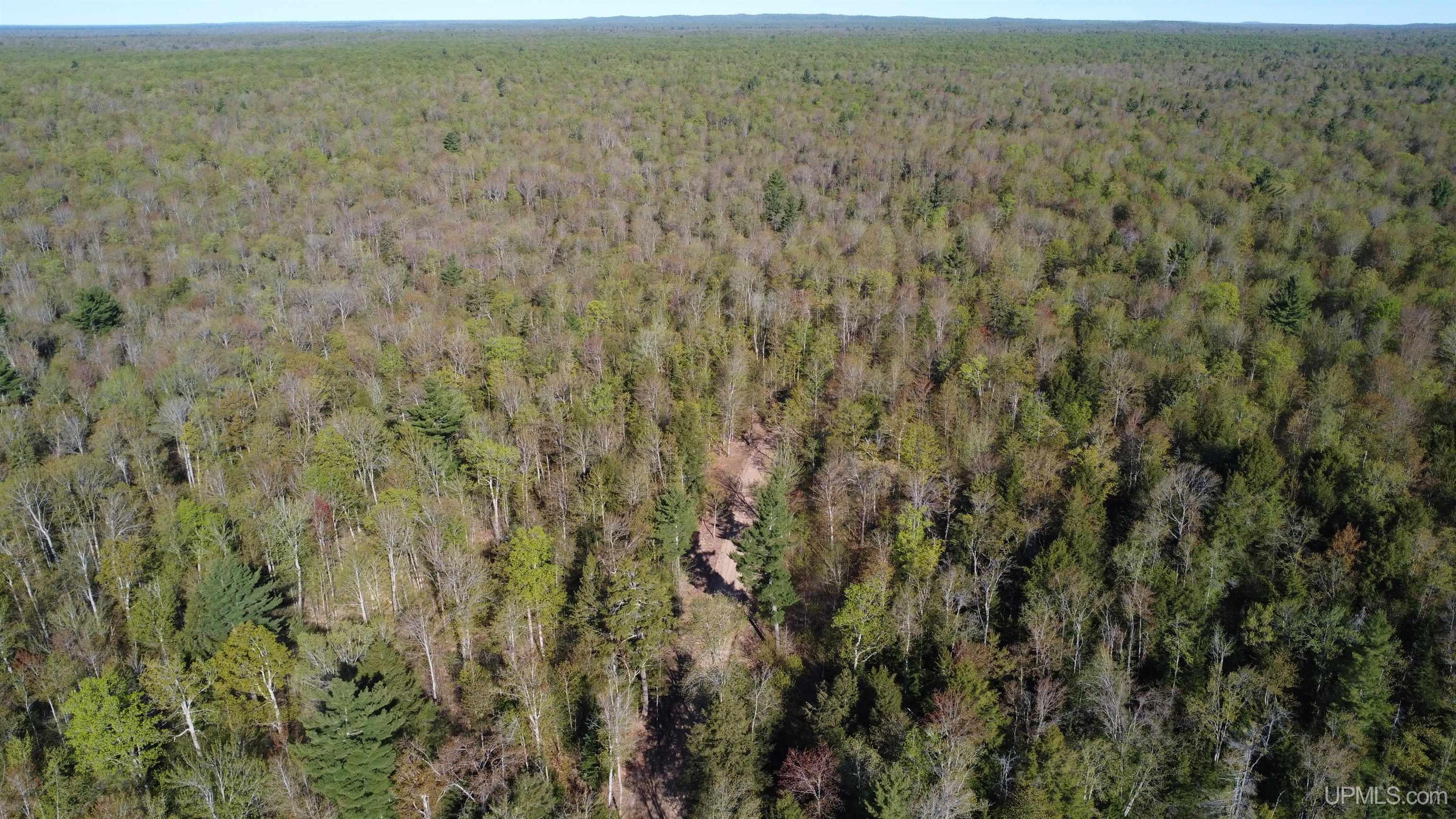 On Wolf Lake Road McMillan, MI 49853 - Photo 10 of 37