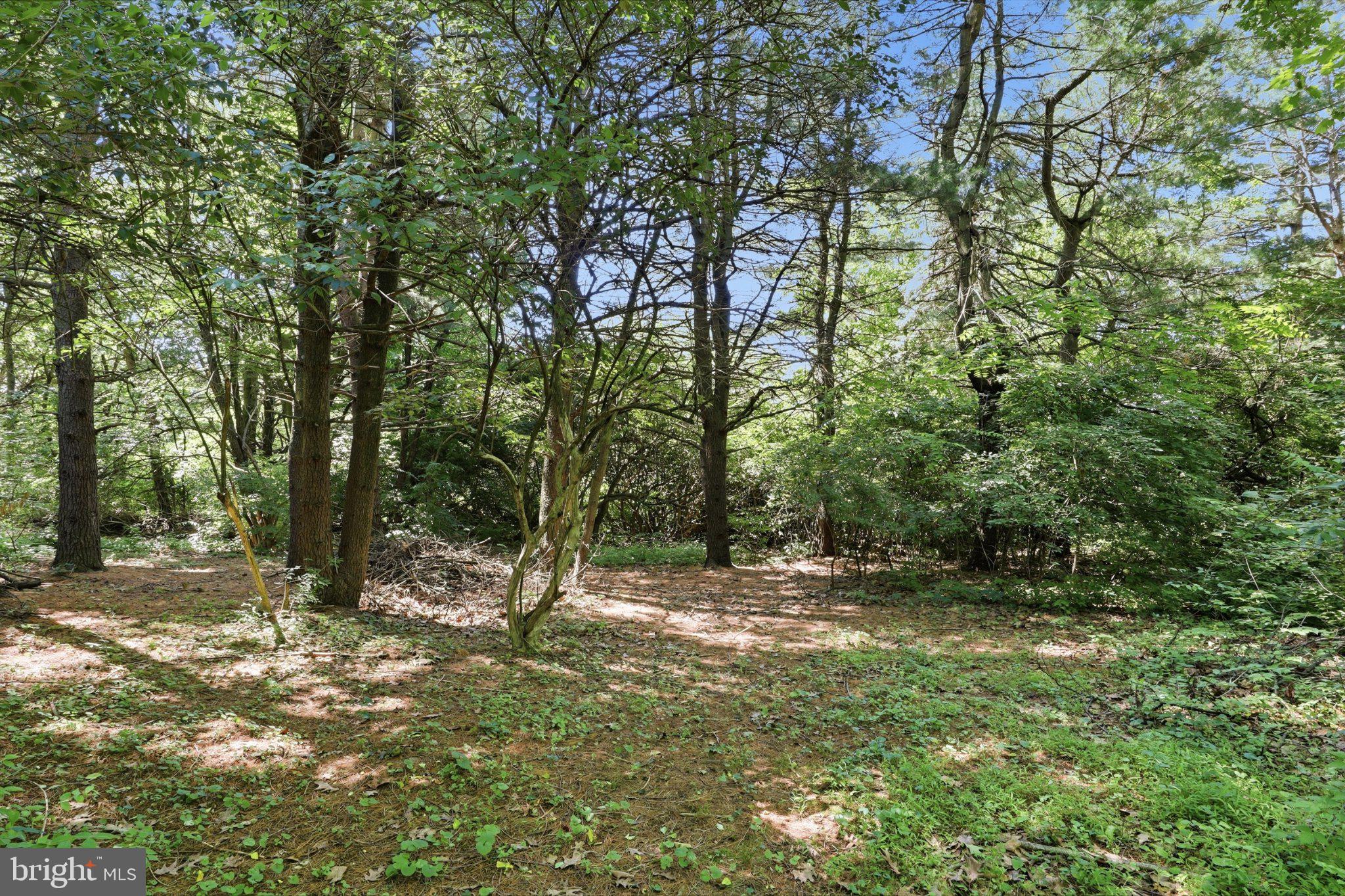 2381 Ridge Road Glenville, PA 17329 - Photo 41 of 58 Serene woodland retreat awaits you.