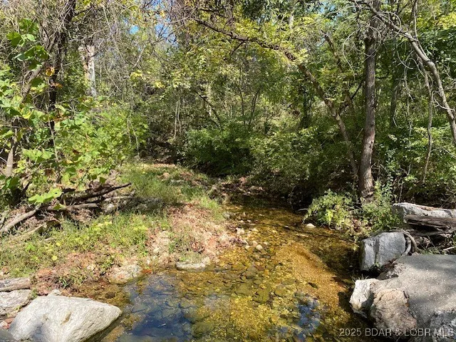 $113,000 | Tbd Possum Hollow Drive, Camdenton, MO 65020