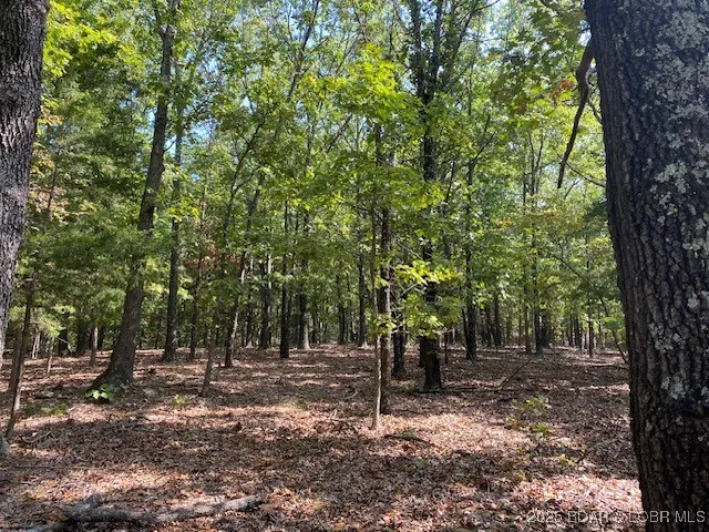 $113,000 | Tbd Possum Hollow Drive, Camdenton, MO 65020