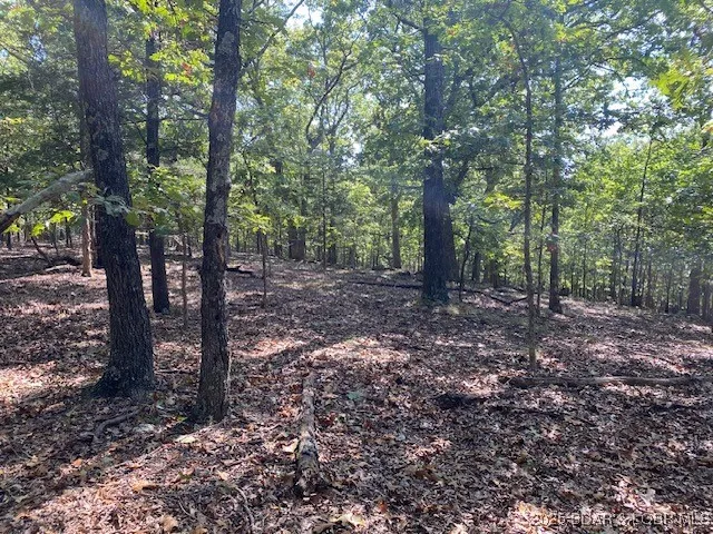 $113,000 | Tbd Possum Hollow Drive, Camdenton, MO 65020