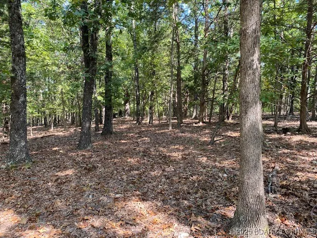 $113,000 | Tbd Possum Hollow Drive, Camdenton, MO 65020