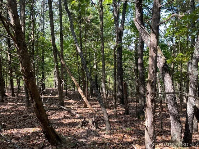 $113,000 | Tbd Possum Hollow Drive, Camdenton, MO 65020