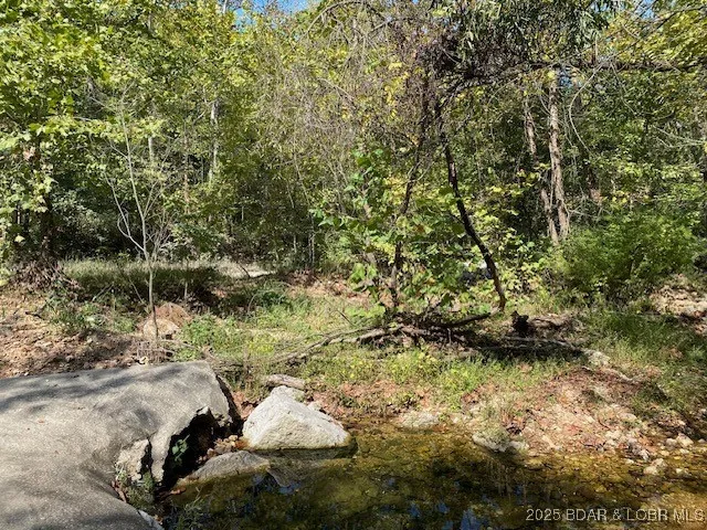 $113,000 | Tbd Possum Hollow Drive, Camdenton, MO 65020
