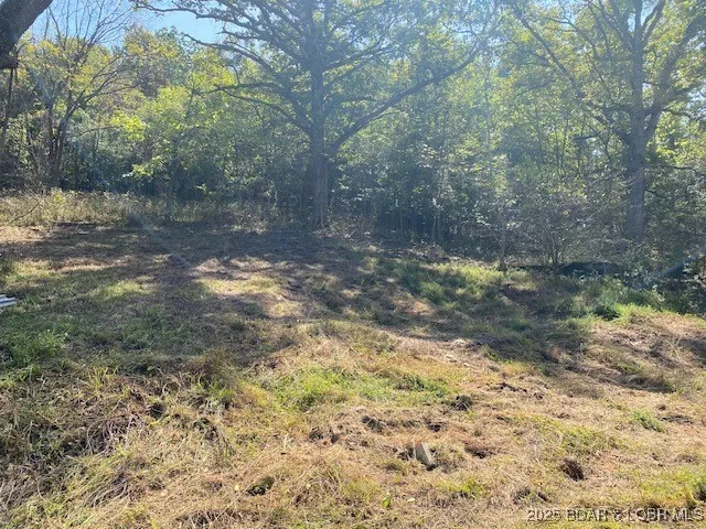 $113,000 | Tbd Possum Hollow Drive, Camdenton, MO 65020