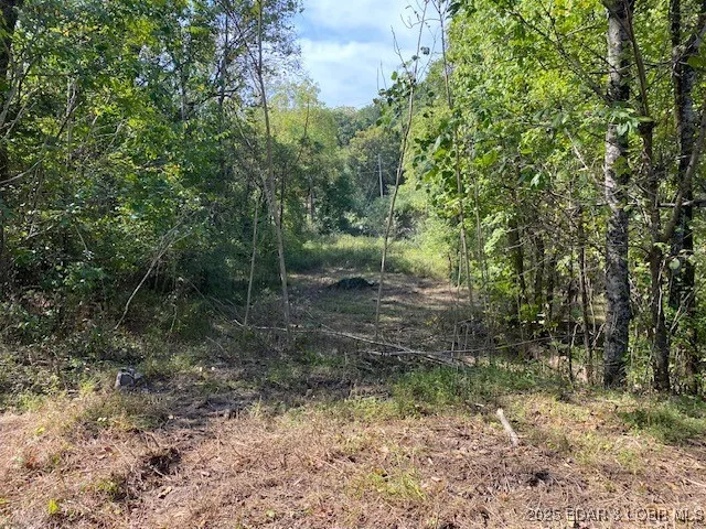 $113,000 | Tbd Possum Hollow Drive, Camdenton, MO 65020