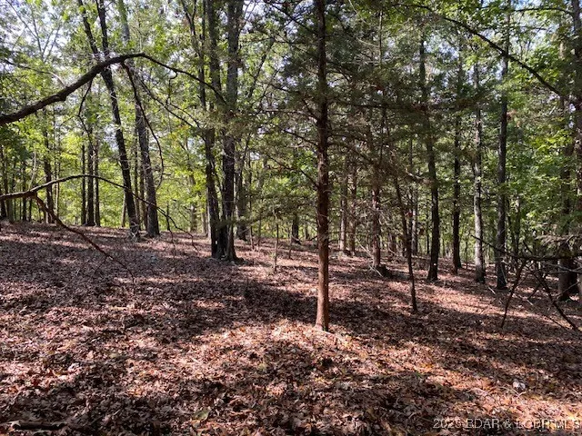 $113,000 | Tbd Possum Hollow Drive, Camdenton, MO 65020