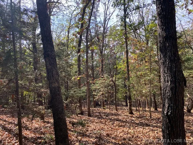 $113,000 | Tbd Possum Hollow Drive, Camdenton, MO 65020