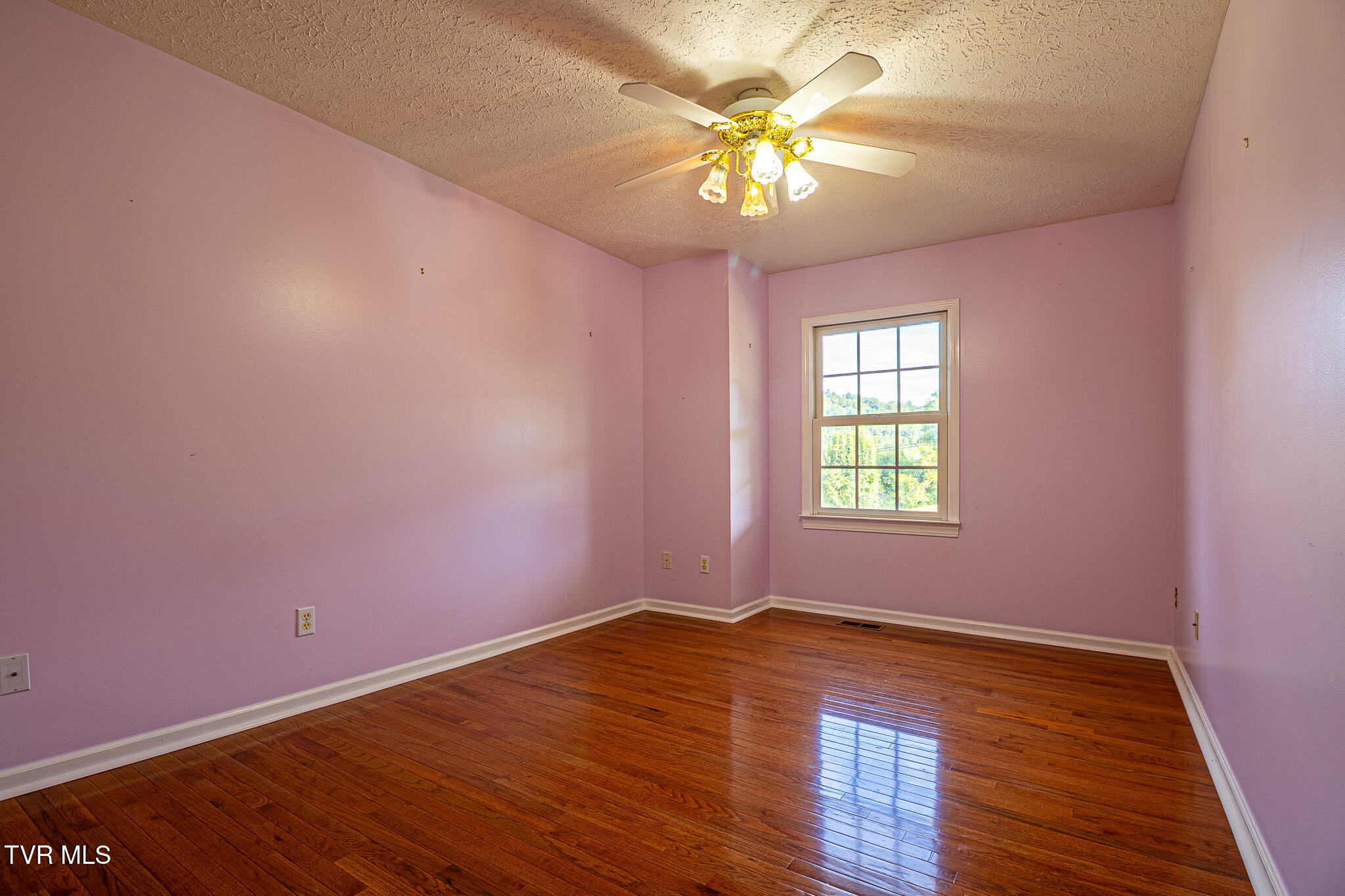 4253 Carters Valley Road Church Hill, TN 37642 - Photo 15 of 43 673A6293-HDR