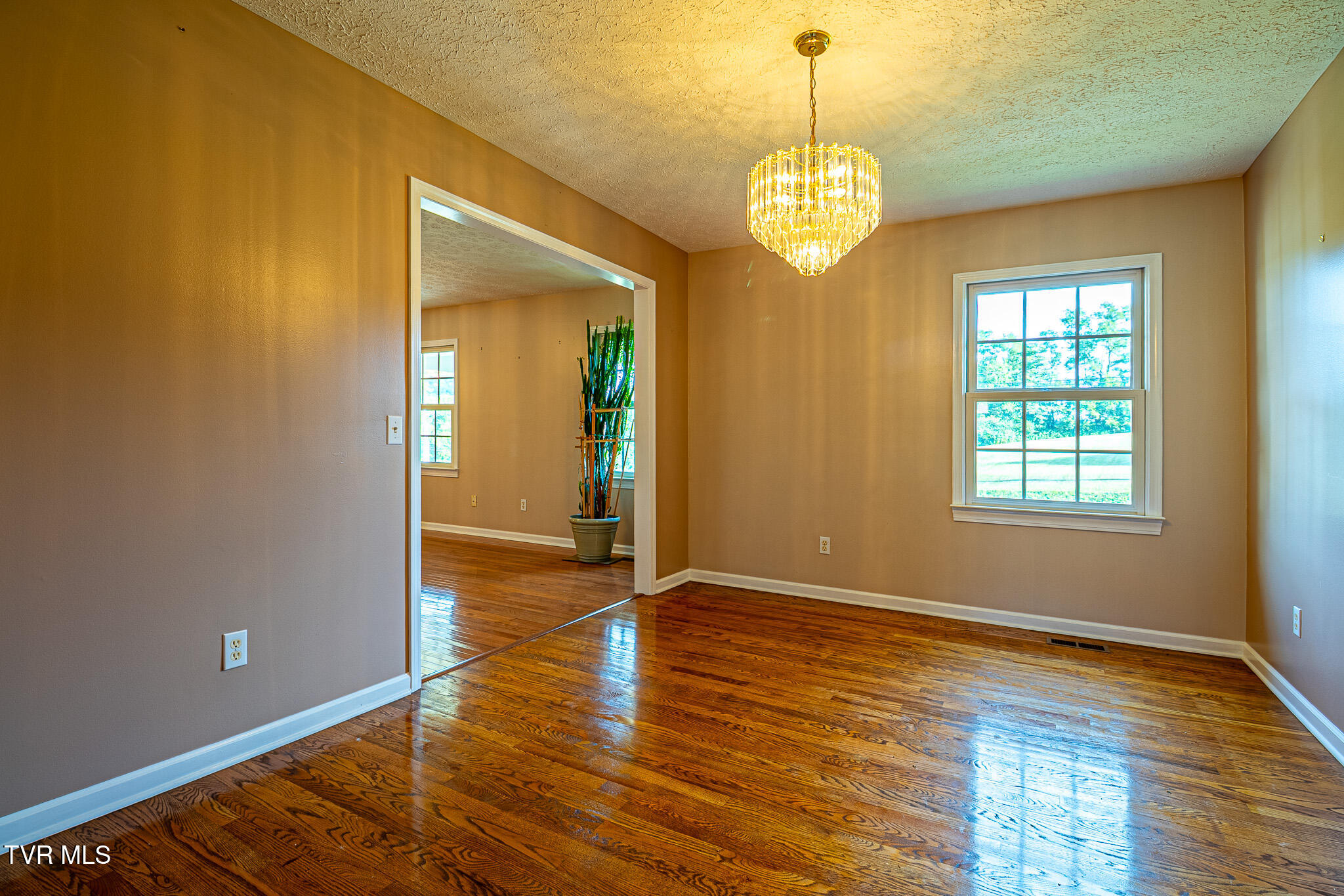 4253 Carters Valley Road Church Hill, TN 37642 - Photo 9 of 43 673A6343-HDR