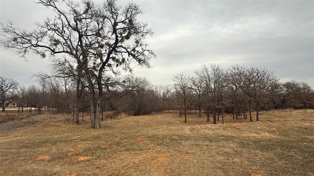 Lot # Valley Oak Court Springtown, TX 76082 - Photo 11 of 11 a view of outdoor space and trees