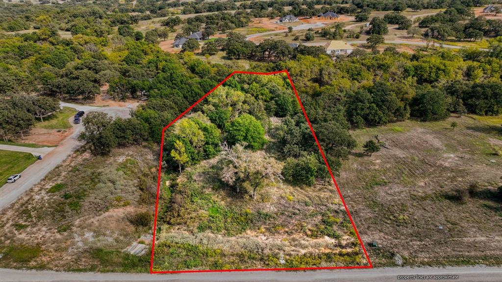 Lot # Valley Oak Court Springtown, TX 76082 - Photo 3 of 11 a view of a yard with plants