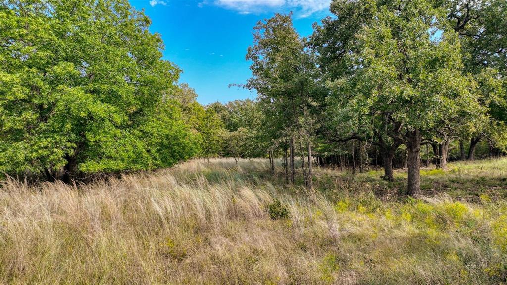 Lot # Valley Oak Court Springtown, TX 76082 - Photo 4 of 11 a view of lake with green trees