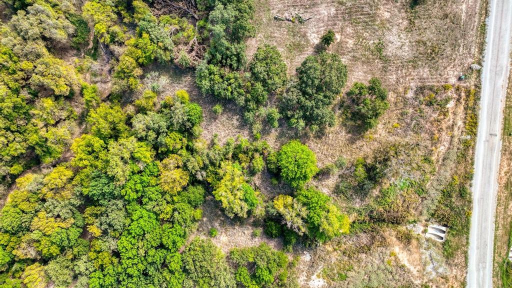 Lot # Valley Oak Court Springtown, TX 76082 - Photo 7 of 11 a view of a tree with a plant