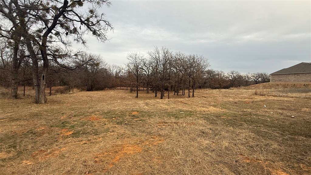 Lot # Valley Oak Court Springtown, TX 76082 - Photo 9 of 11 a view of outdoor space with trees