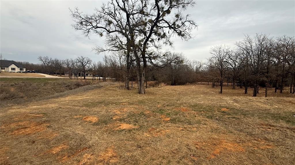 Lot # Valley Oak Court Springtown, TX 76082 - Photo 10 of 11 a backyard of a house with lots of green space