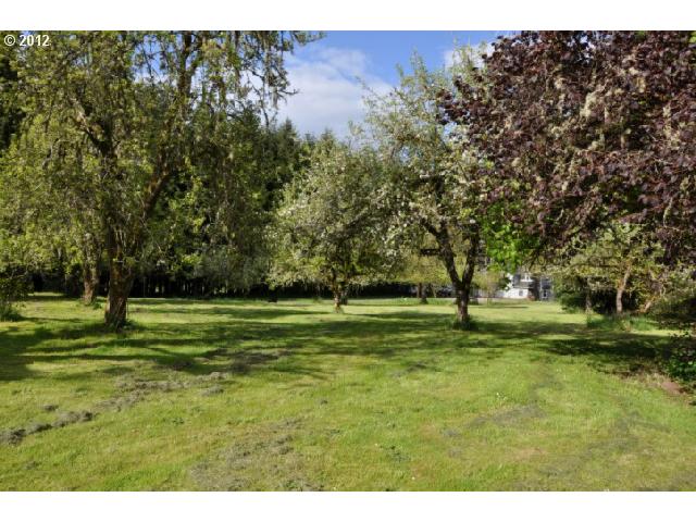 18558 Hazel Grove Road Clatskanie, OR 97016 - Photo 15 of 16 Pasture